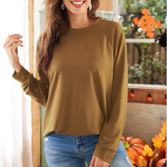 Brown Crewneck Pullover Sweatshirt - Picture 3 of 8